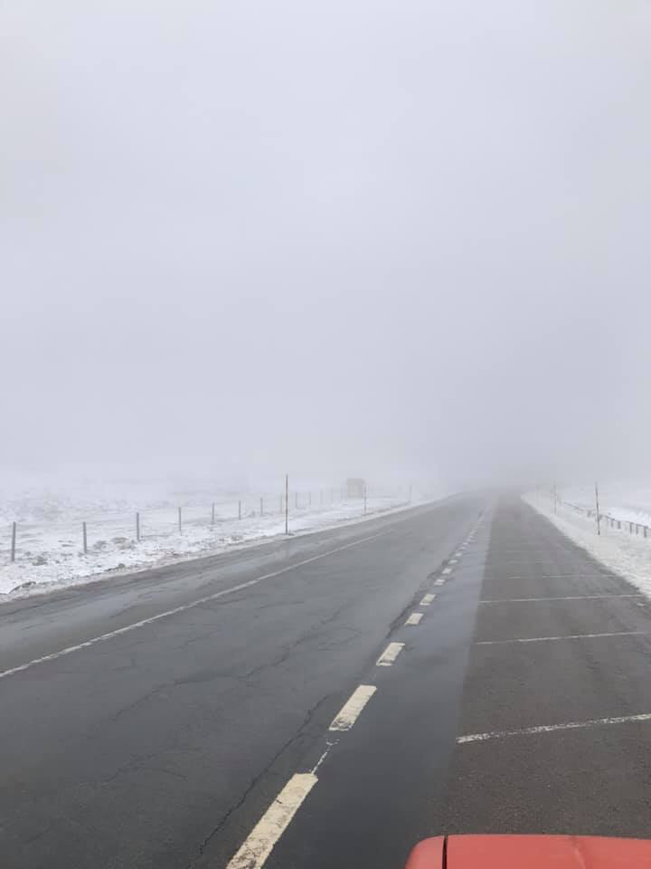 184377013 486552342795518 7505572630682308929 N