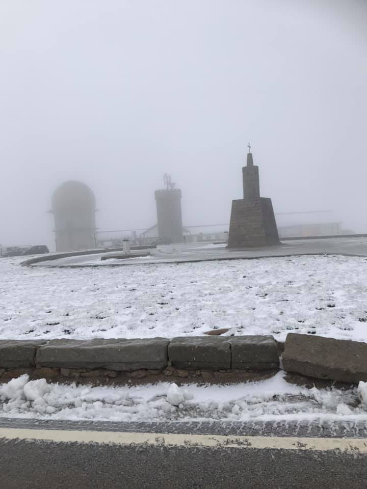 184633891 486552292795523 947359673832367424 N