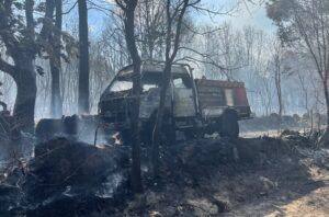 290220519 1219342302157844 6830269581041609929 N