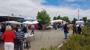 Whatsapp Image 2022 06 24 At 11.00.52