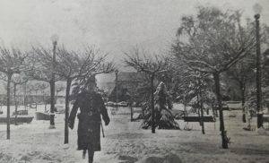 6. Jardim José De Lemos